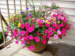 PTO is getting things rolling for our Annual Spring Flower Sale and you should be seeing those forms coming home soon. This is a great fundraiser for our school, all orders arrive for pick up on May 12th in time for Mother’s Day! More info to come – tell your friend and family! 