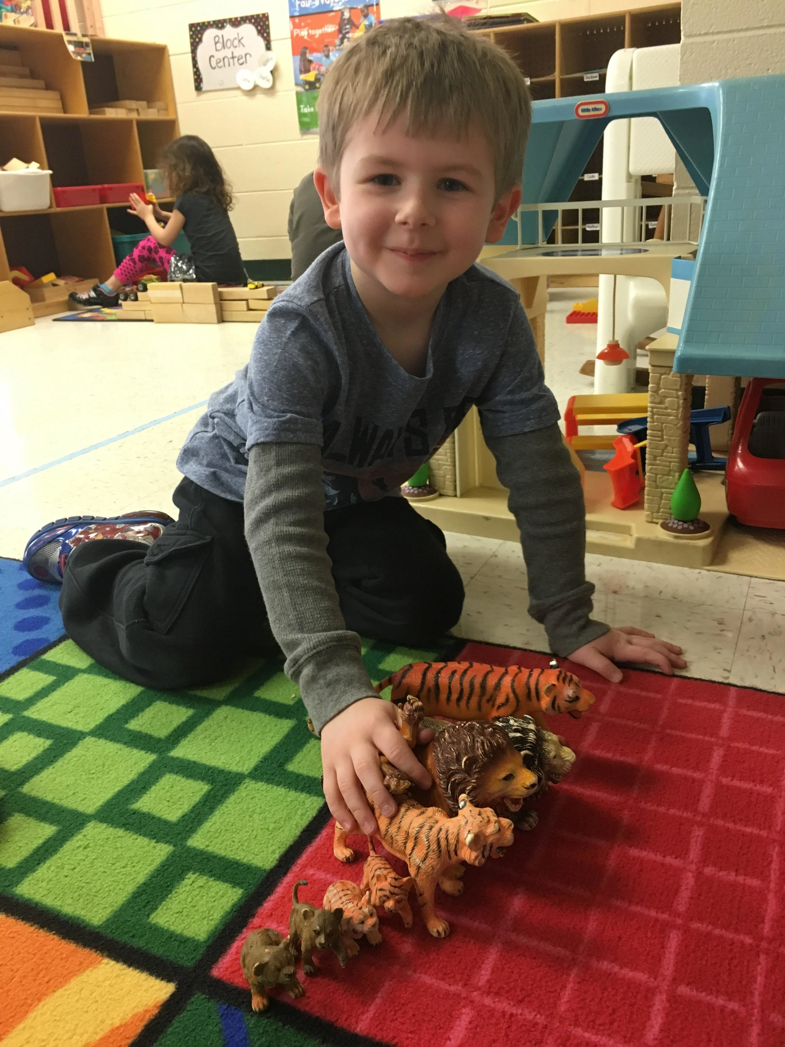 lining up tigers and lions at play time