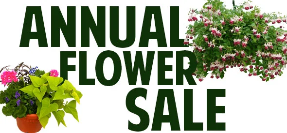 Flower Sale