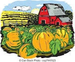 Pumpkin Donation!