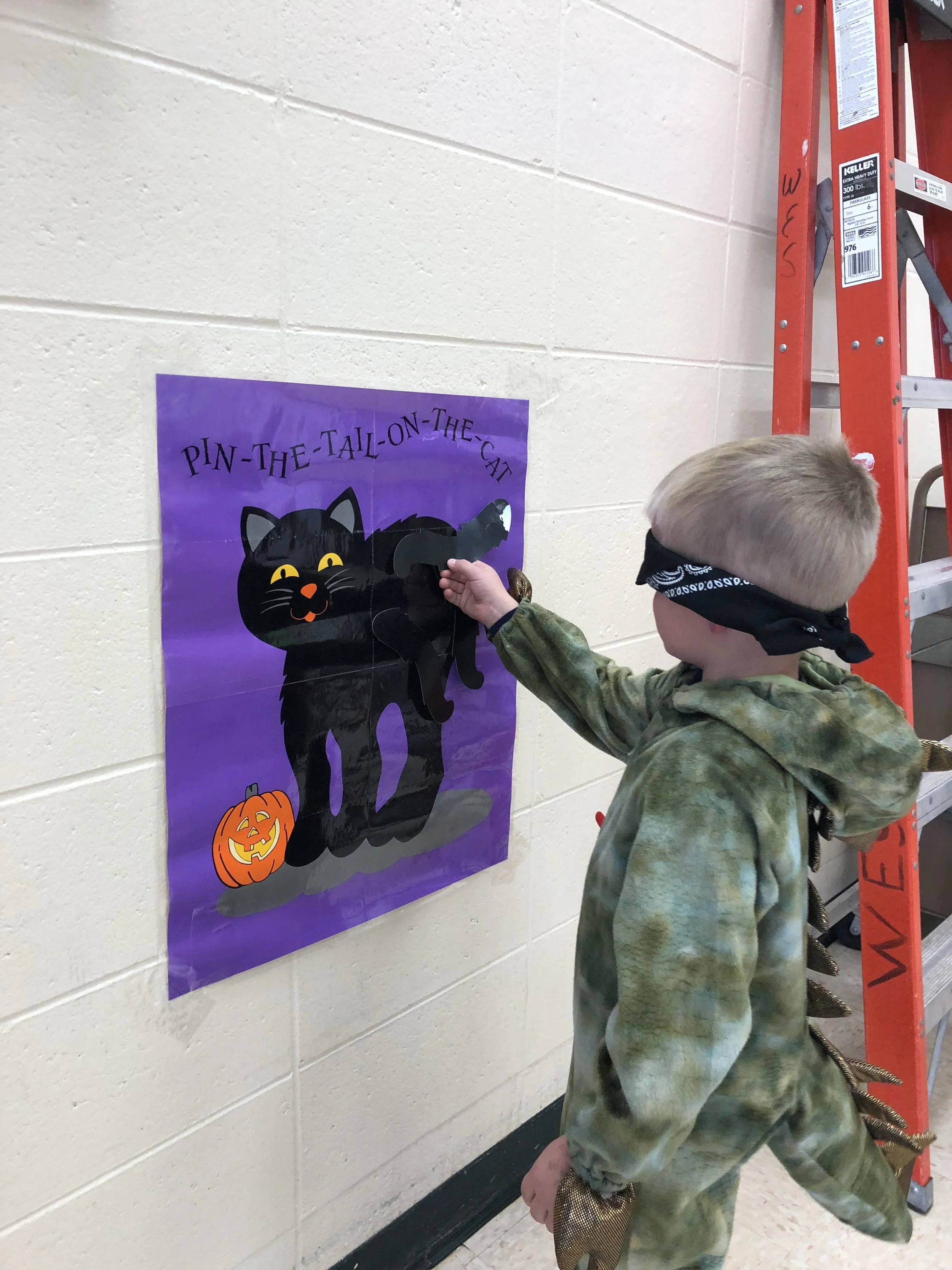 pin the tail on the cat!