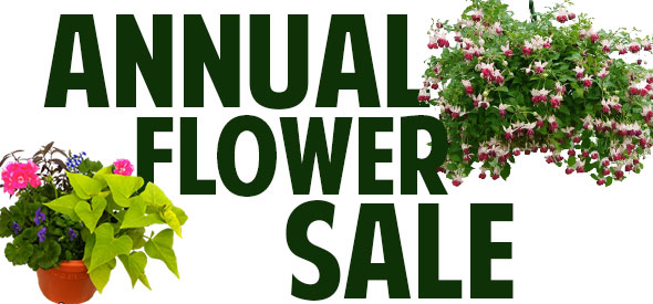 Flower Sale