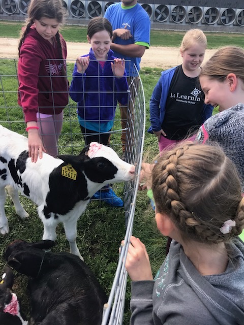 3-5 Student visited the Golden E Dairy on a Field Trip in connection with their Agriculture and Commodities Project!