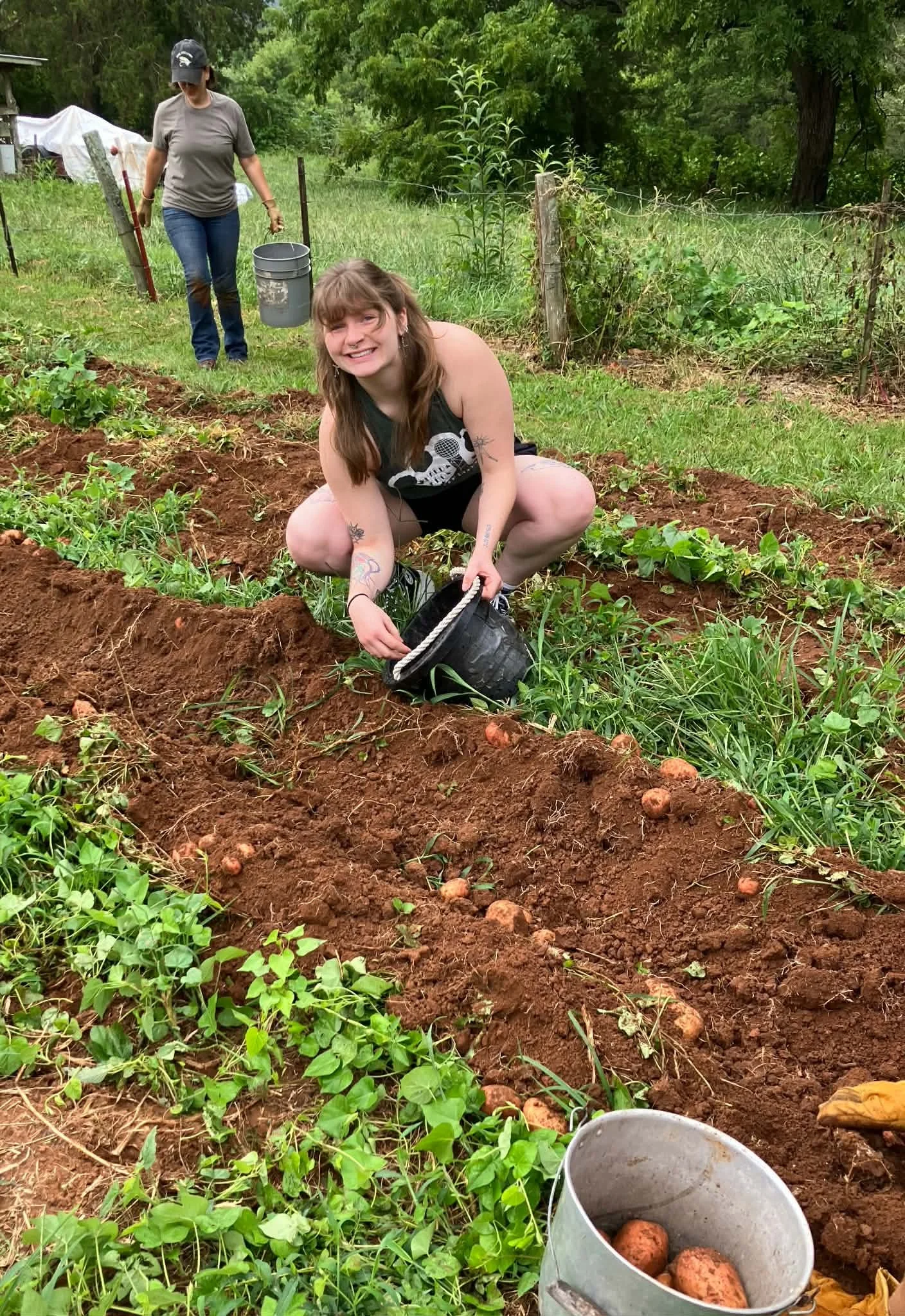Panic gardening in a field.