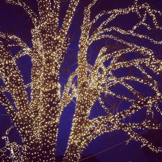 December Tune-Ins: Movement &amp; Mindfulness Hour for the Holidays