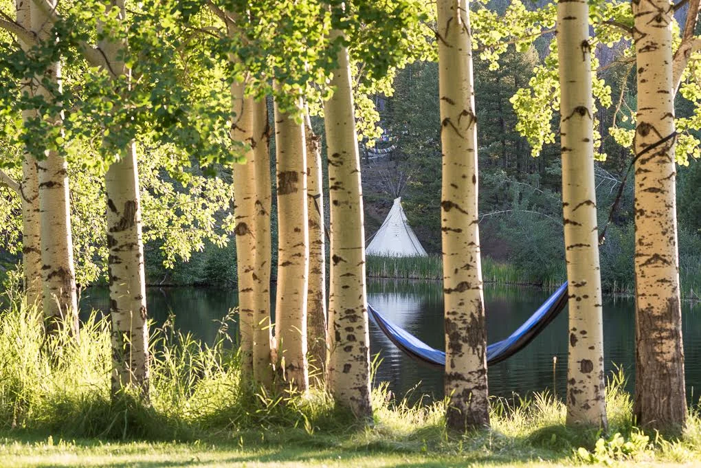 12 Embodiments of Yoga & Mindfulness: Summer Retreat with Annie & Amir