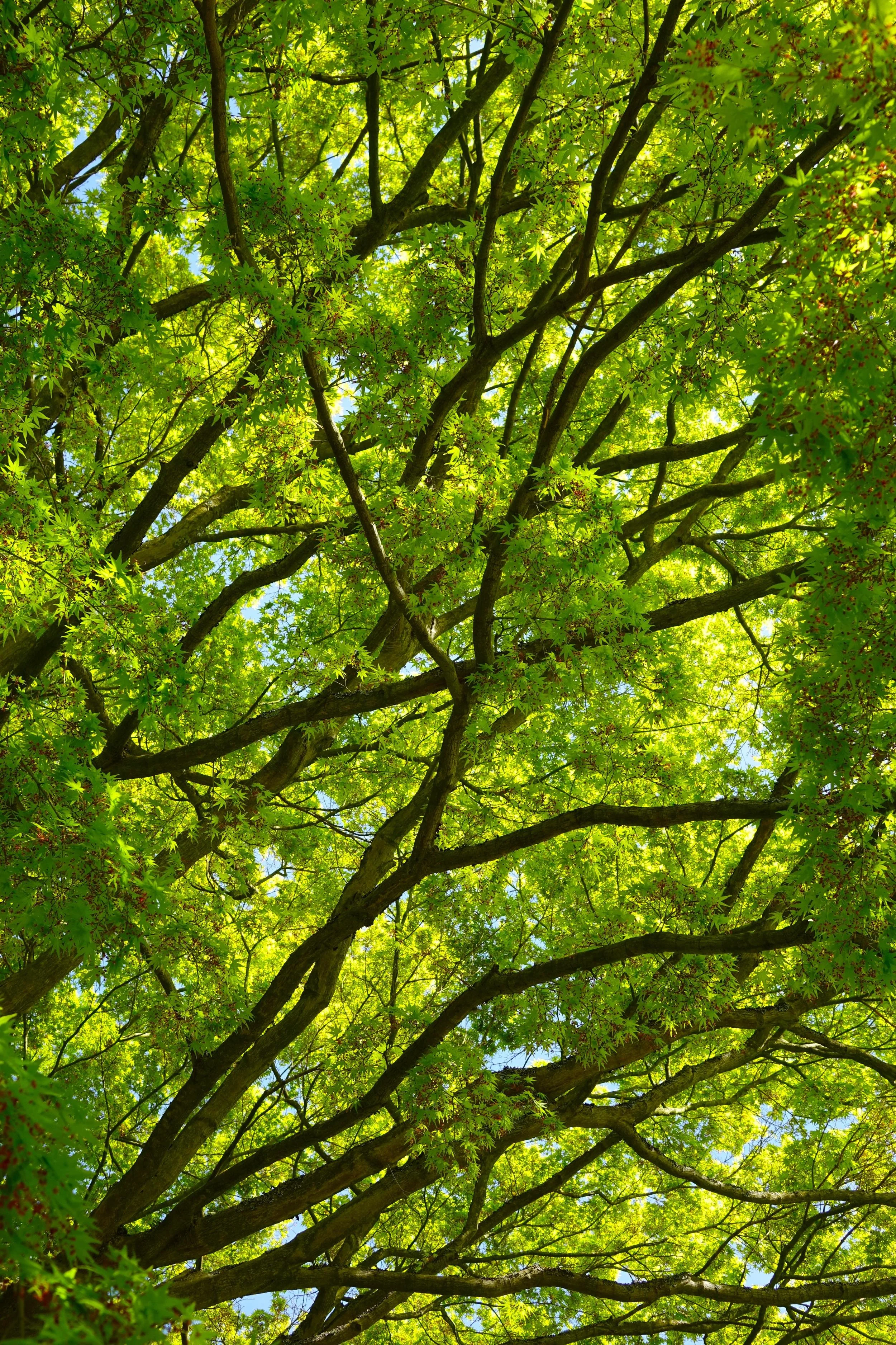 Eight Limbs In Depth: Teacher Training Sneak Peek (Arlington)