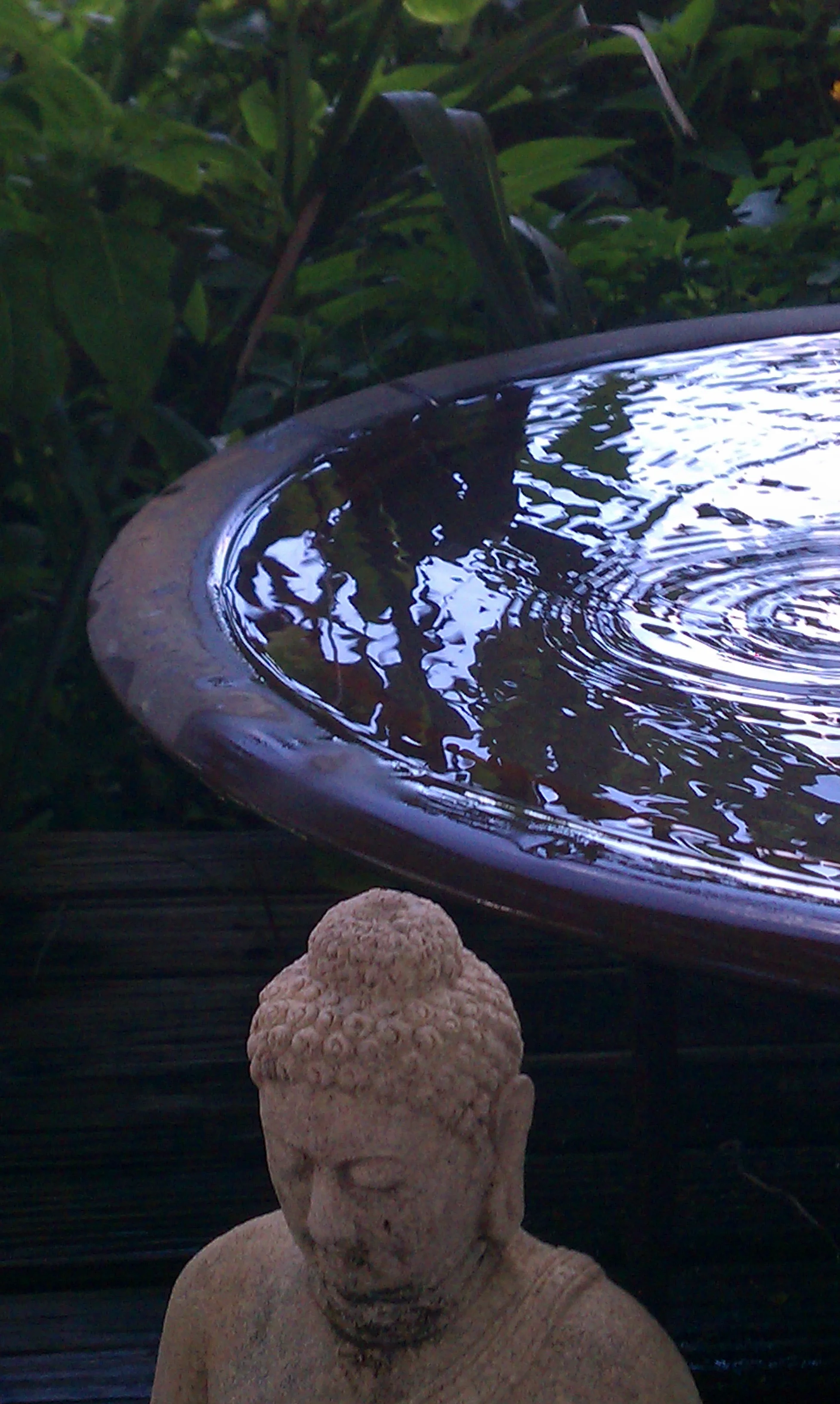 Retreat and Meditation with Alex & Jackie (Arlington)