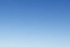 Free Election Recovery Yoga & Meditation