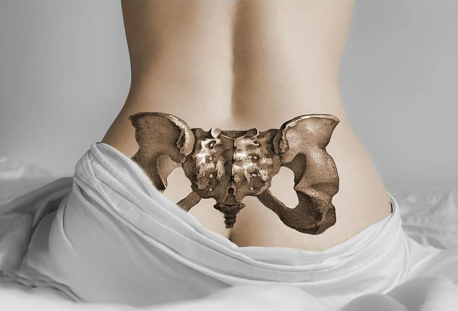 The Sacrum: Our Sacred Chariot - Afternoon Immersion with Annie Moyer (Fairfax)