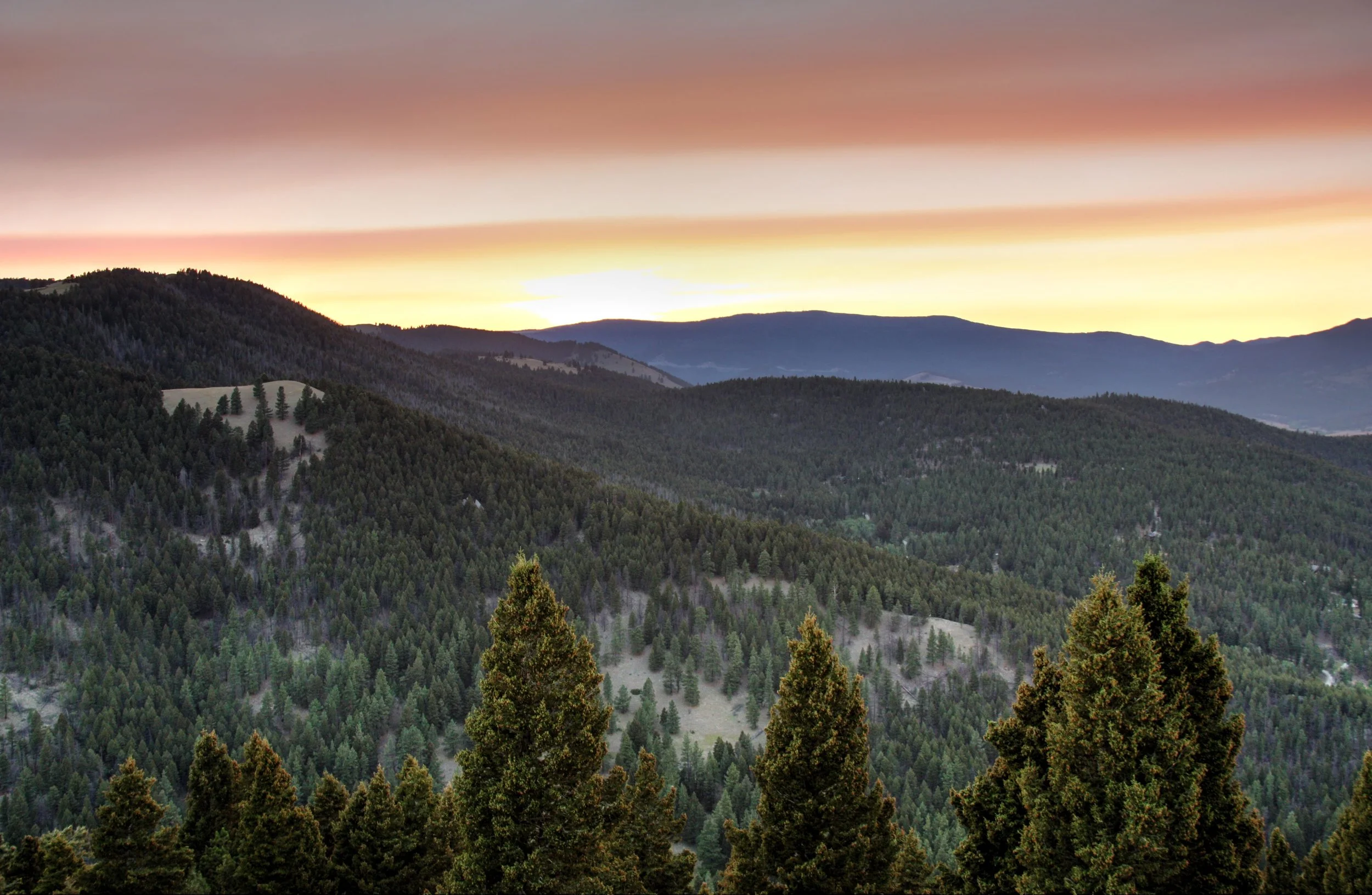 Learn, Ask, Snack: This Summer's Mindful Unplug at Feathered Pipe Info Session (Arlington)