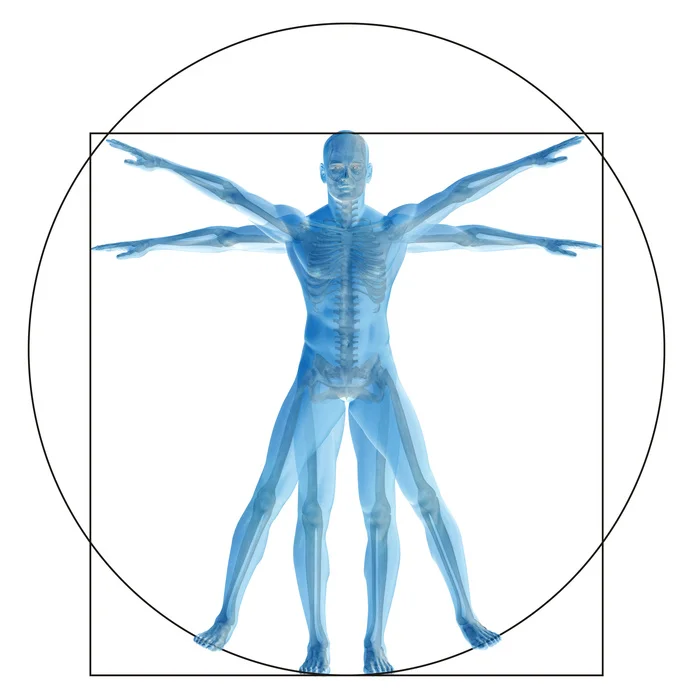 Architecture and Human-Body.jpg