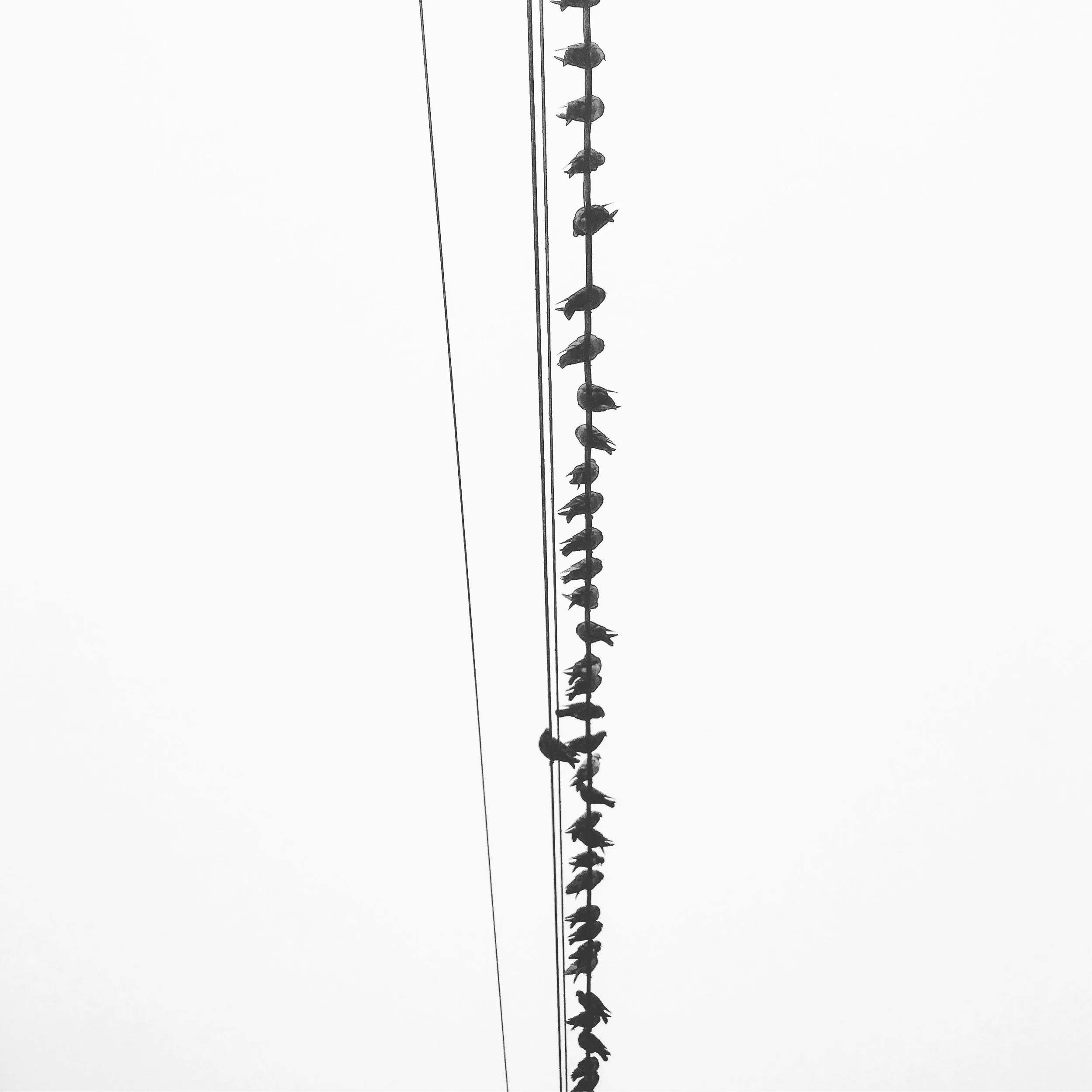 12 Poses in 12 Minutes for Better Bones (Fairfax)