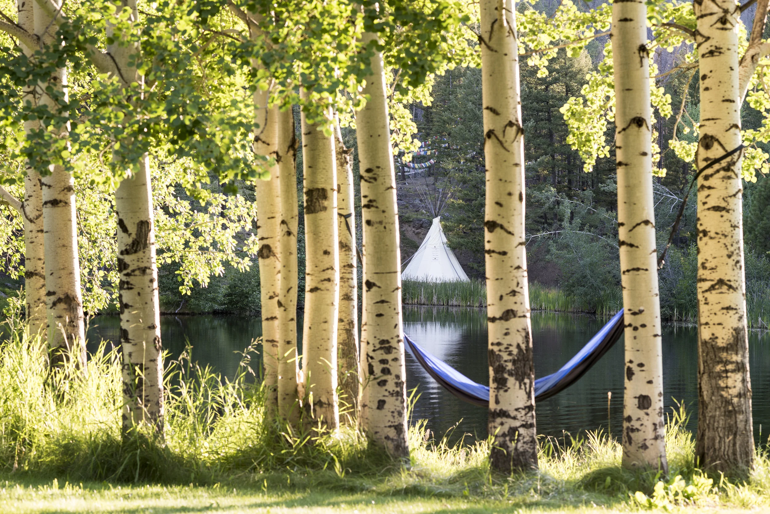 The Mindful Unplug Experience Info Session (Arlington)