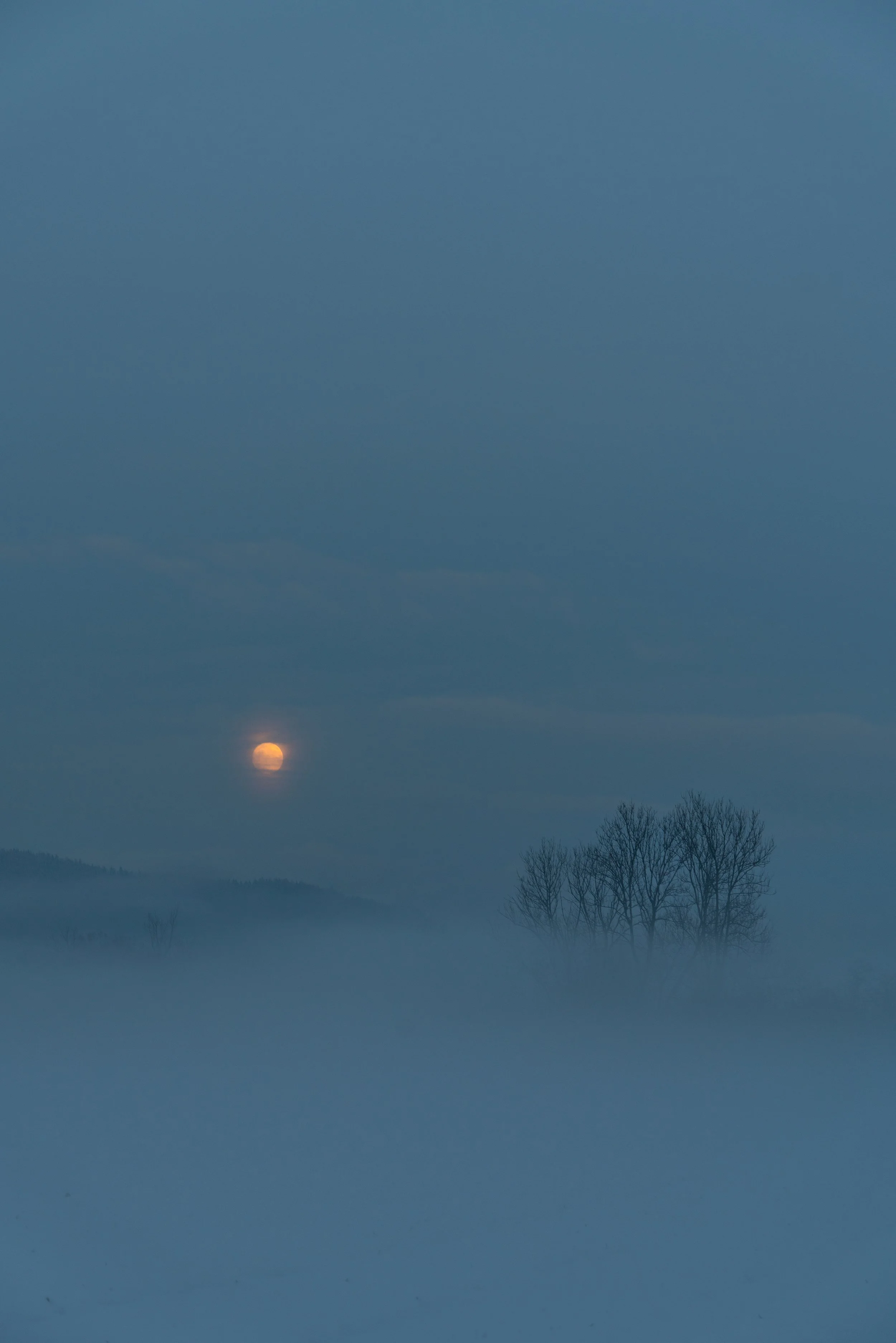 Exploring Silence &amp; Stillness w/Jackie and Alex (Arlington) 