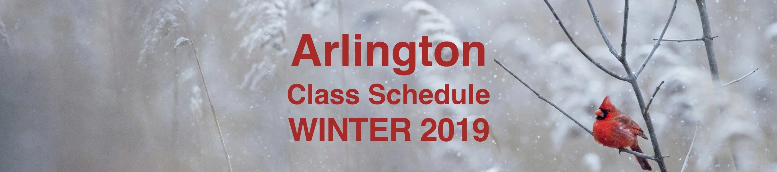 Sched Page Image Doc ARL winter.jpg