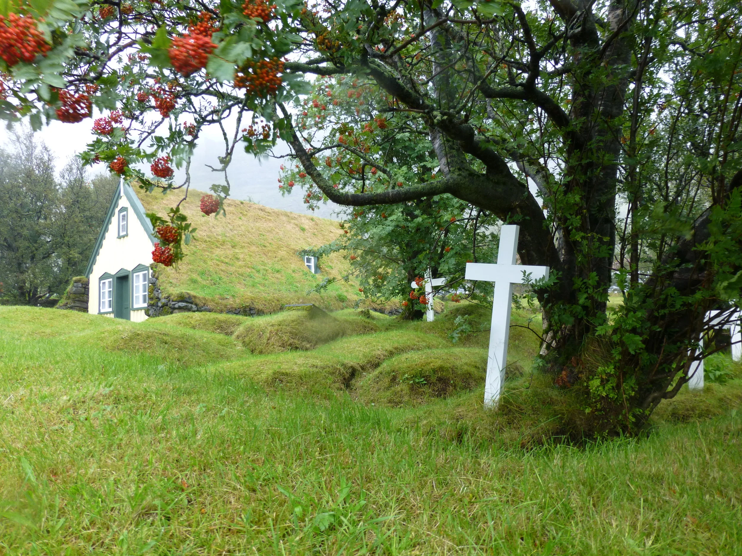 P1040496.jpg