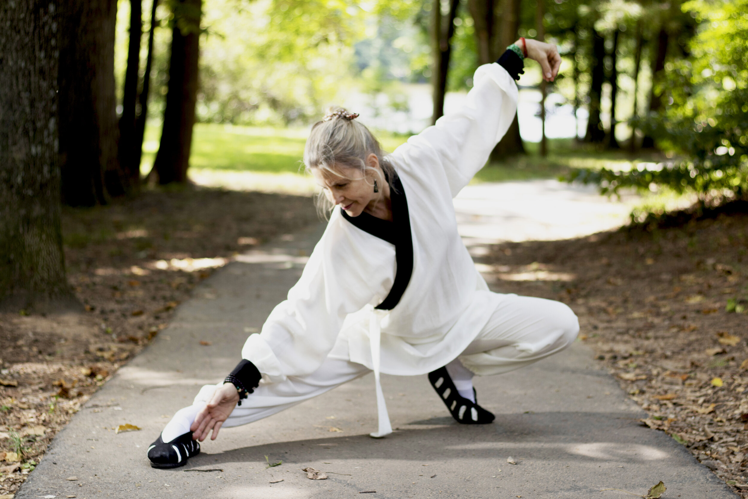Tai Chi Easy w/Cynthia Maltenfort (Fairfax)