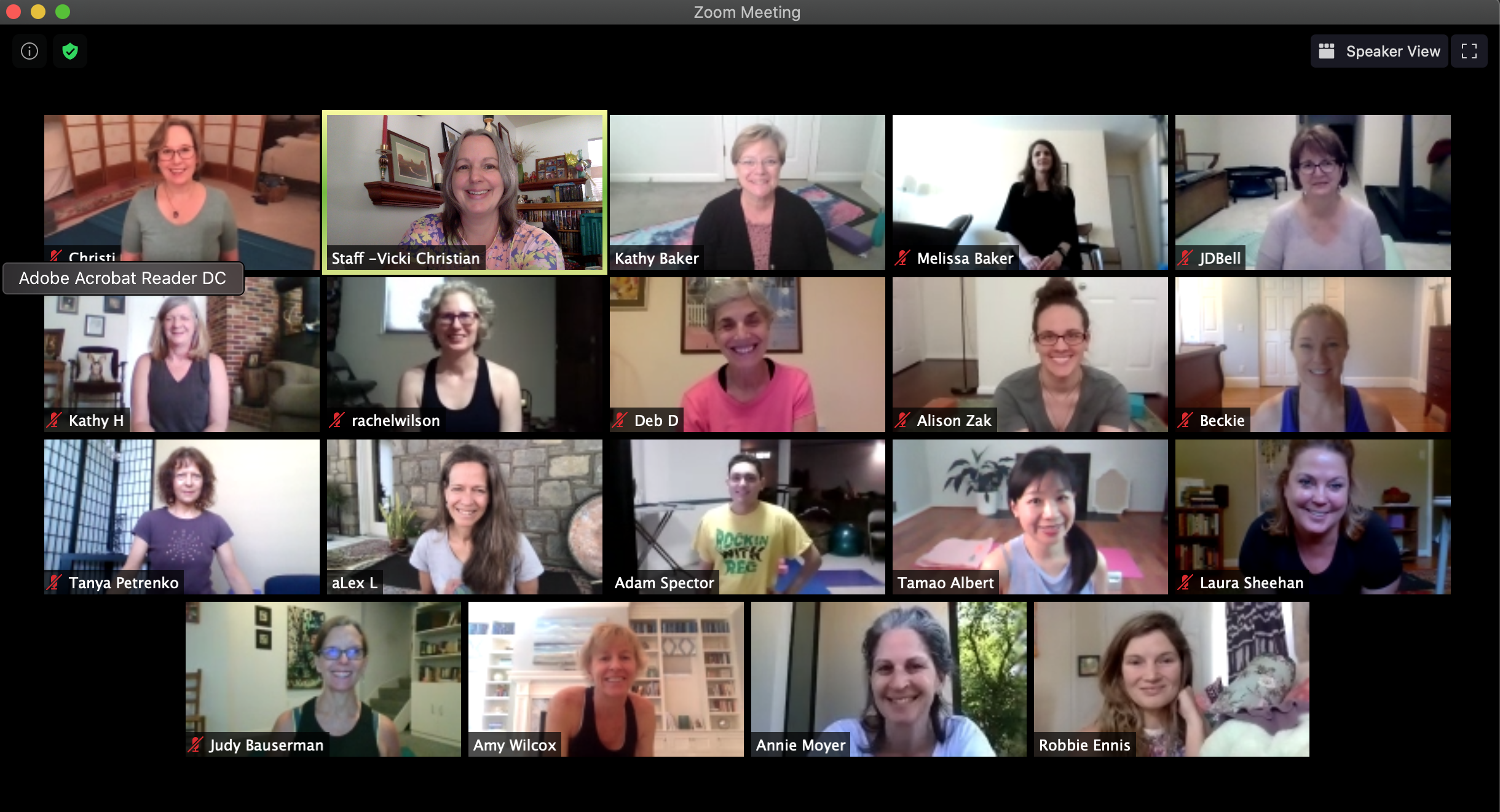 Teacher Training Fireside Q&amp;A on Zoom