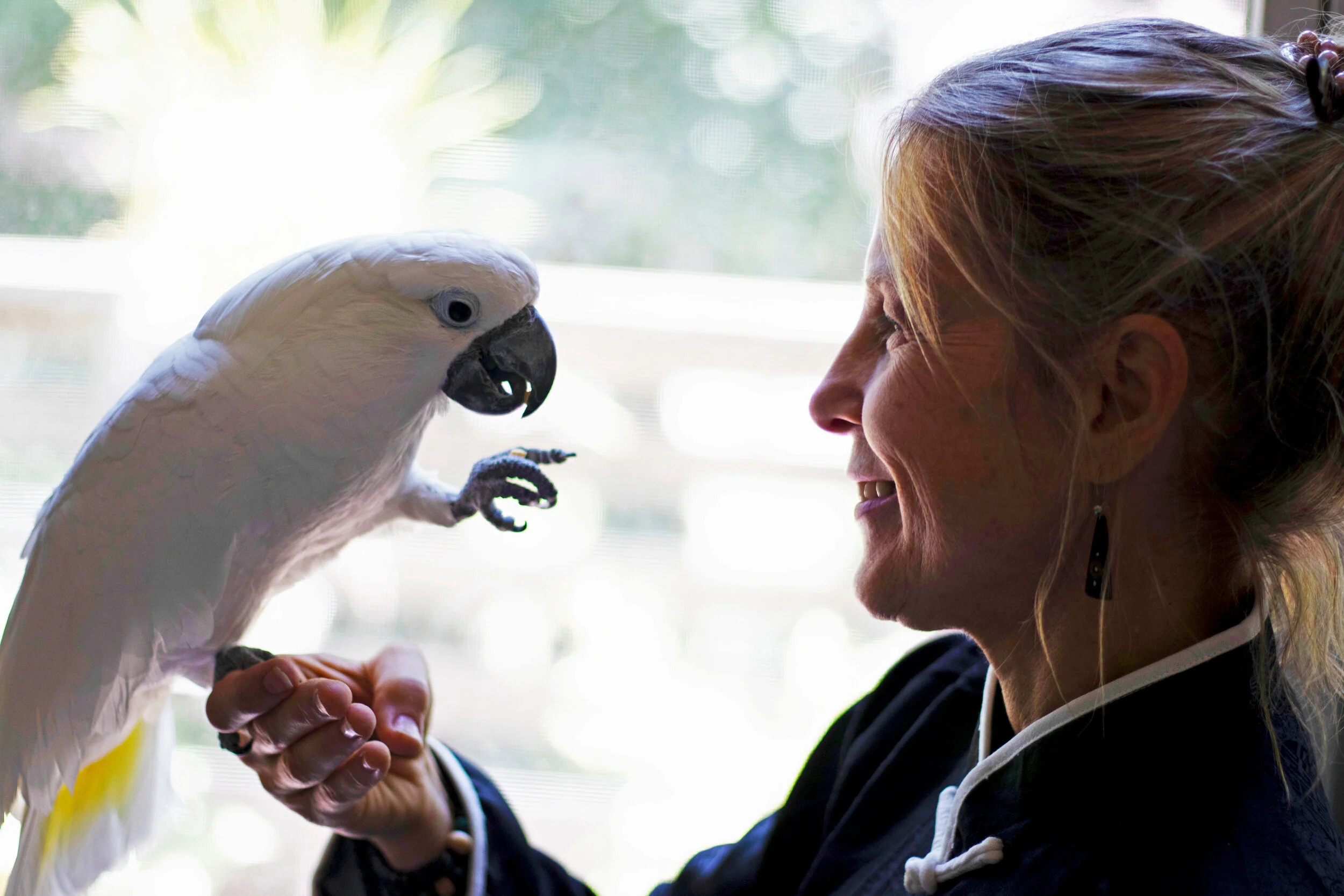 VIDEO: Tai Chi Easy with Cynthia Maltenfort