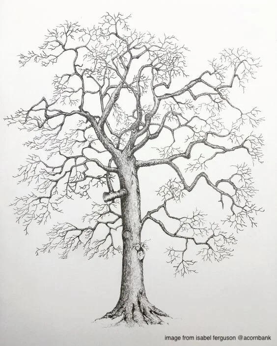 Freeing Up the Spine w/Asya Haikin on Zoom