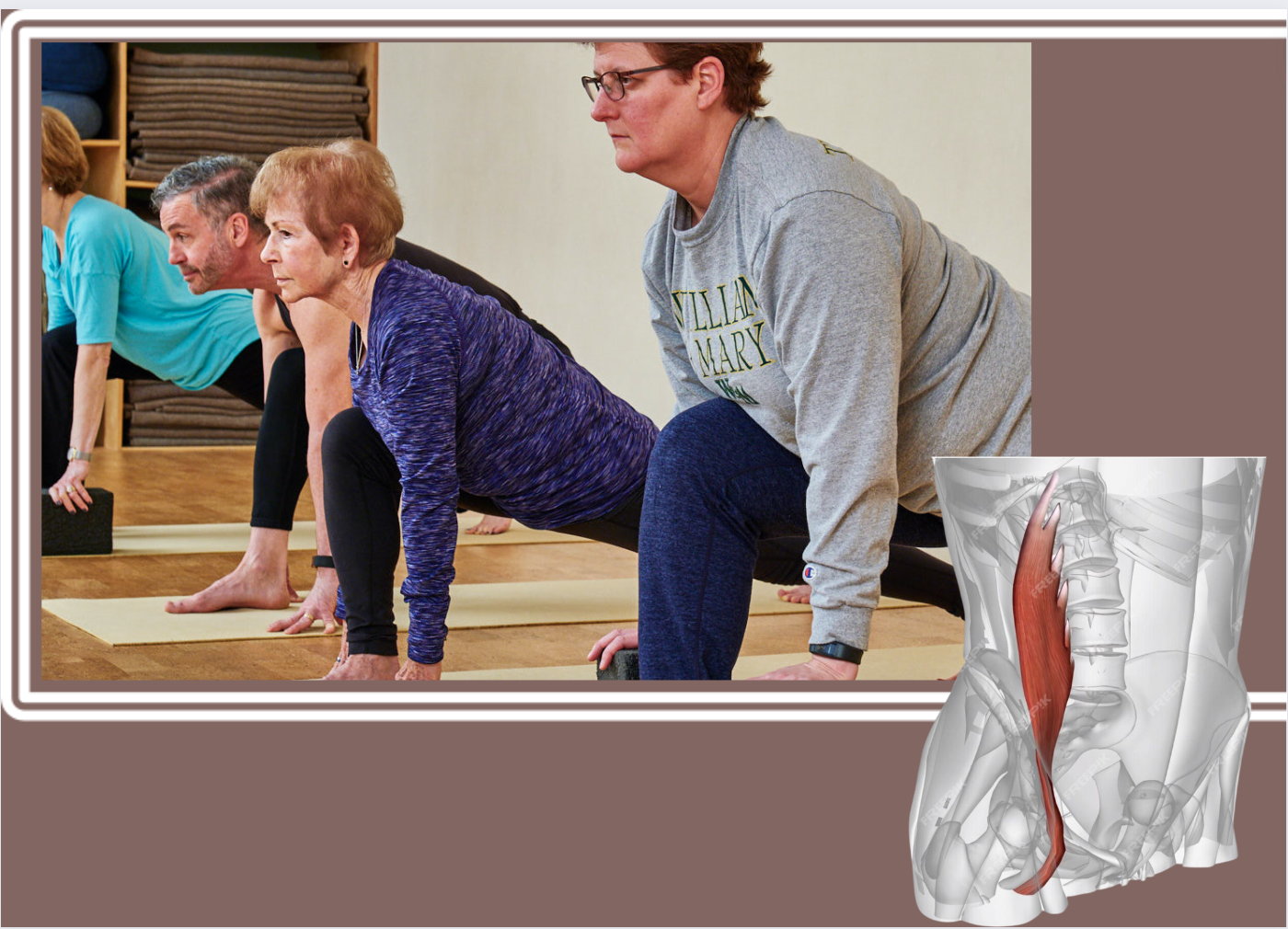 Yoga Therapy for the Psoas with Amir