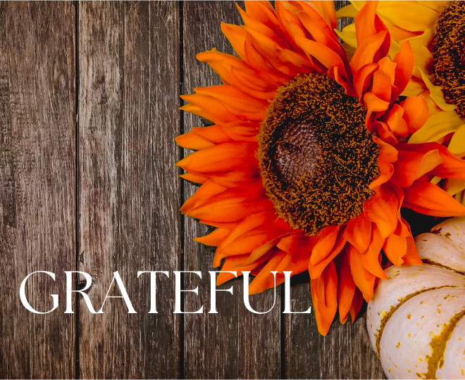 Giving Gratitude: Thanksgiving Day Free Yoga and Food Drive in Fairfax