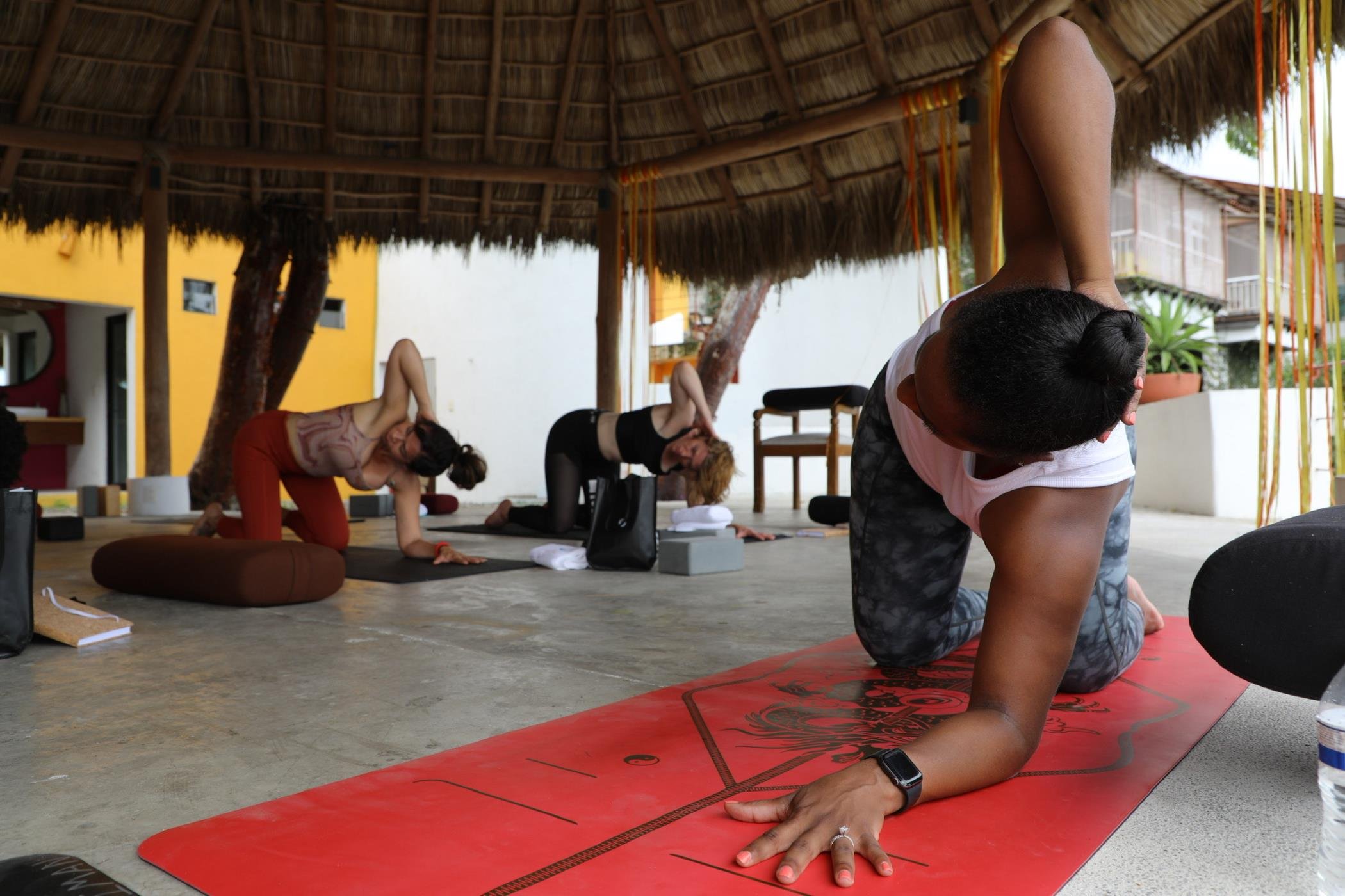 Happy Shoulders with Dr. Candace Harding, PT