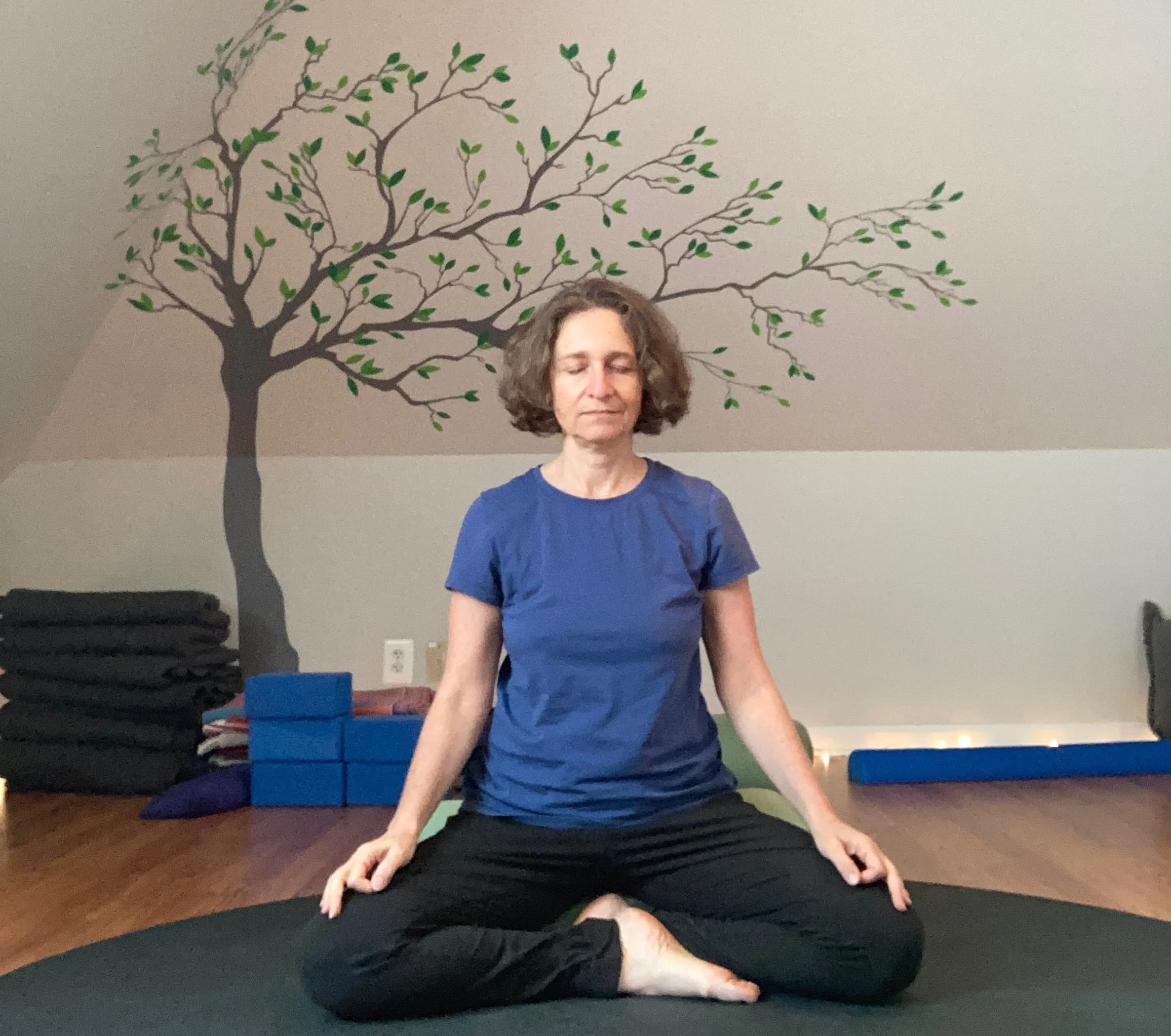 Steady Ground: Yoga Tools to Regulate Your Nervous System with Asya Haikin