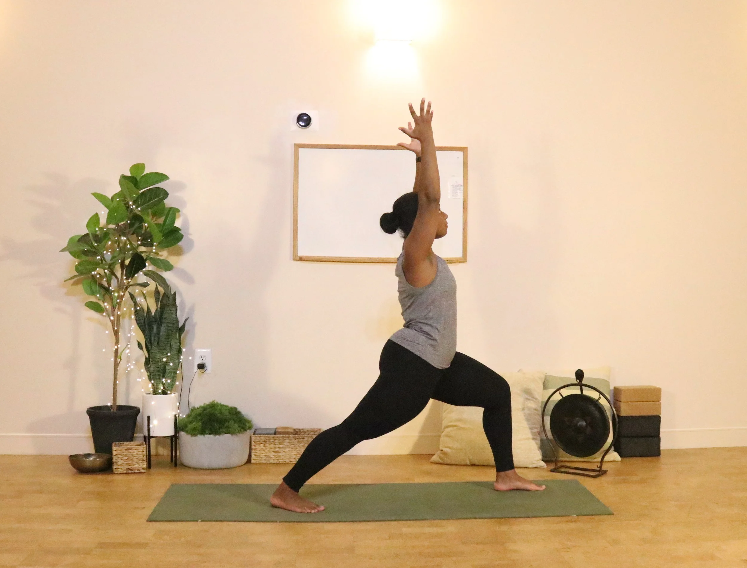 Vinyasa 101 with Dr. Candace Harding, PT