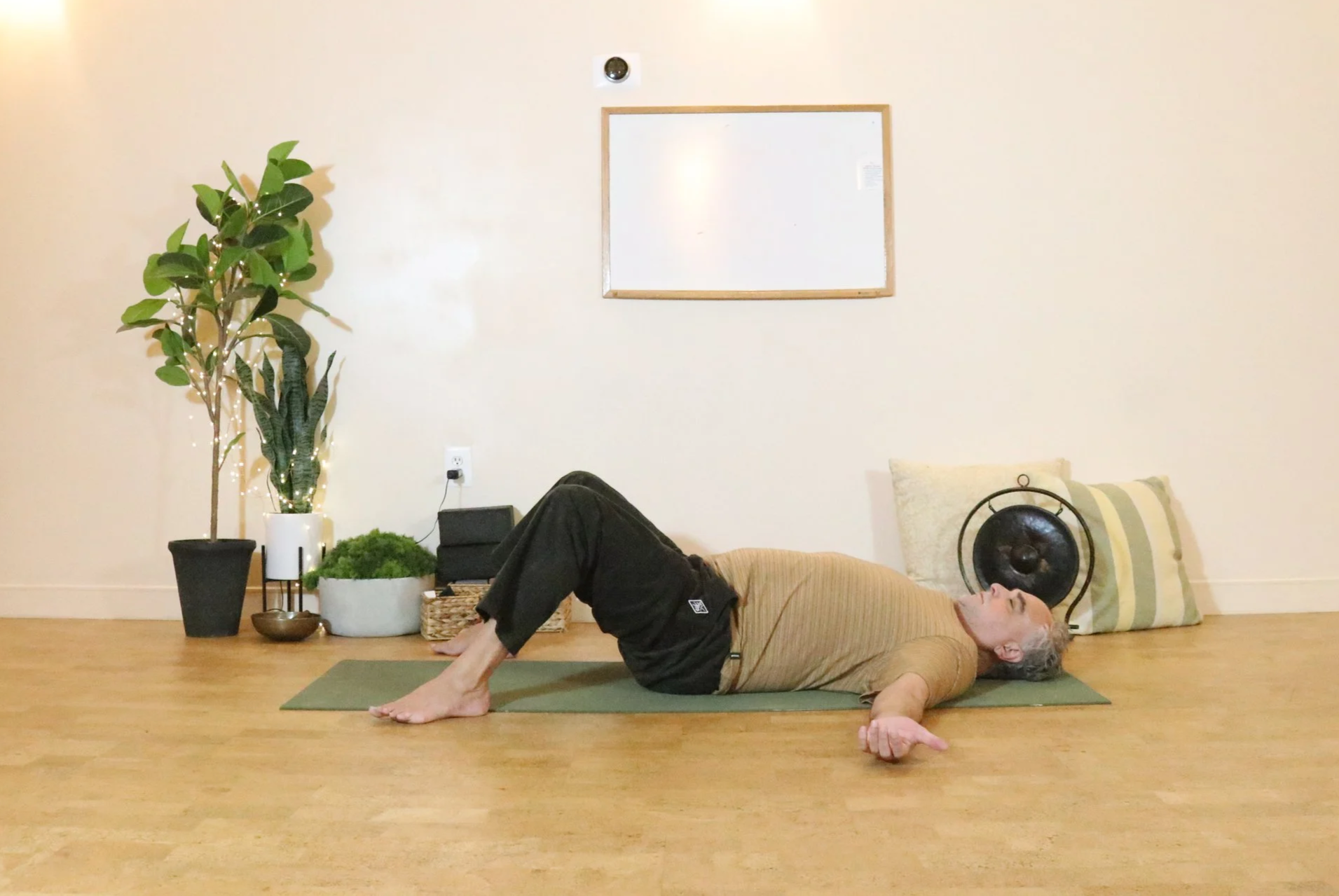 Amir's Yoga Therapy for Low Back Pain 