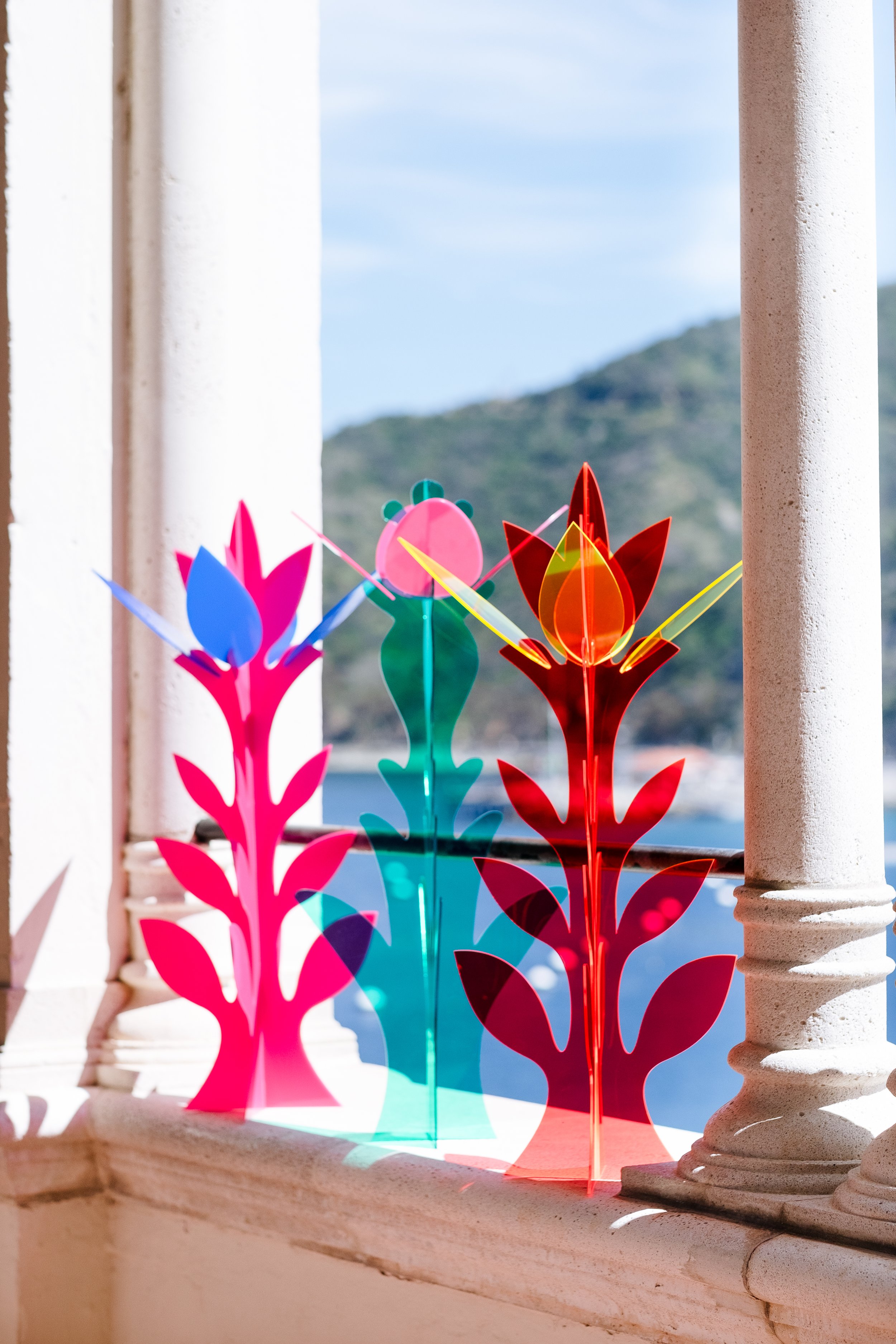 Catalina Conservancy: Photo Moment & Centerpieces 