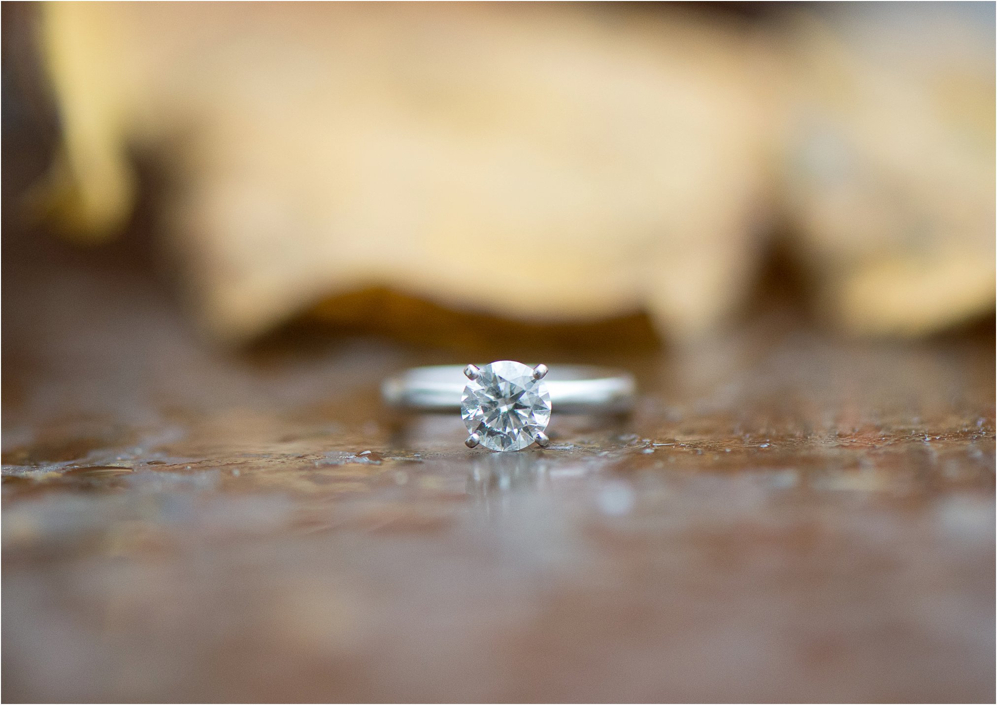 Nelson County Engagement-1-15.jpg