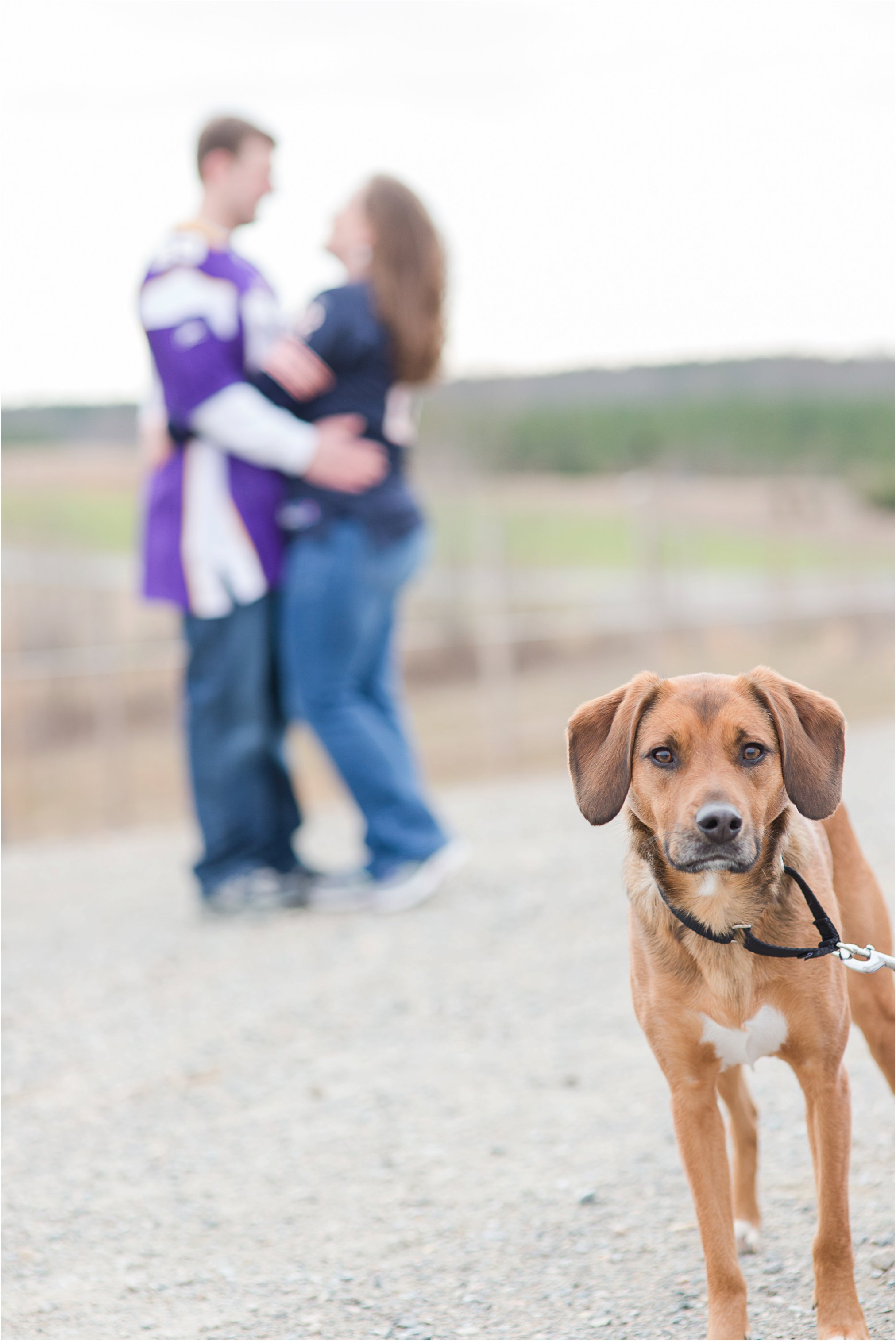 Virginia Wedding Photographer_0188.jpg