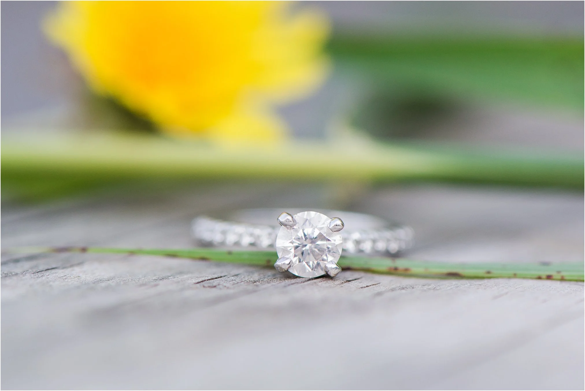 Strasburg VA Engagement Photos_0534.jpg