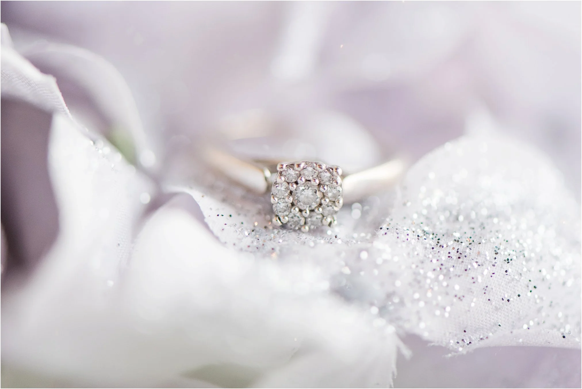 Lynchburg Wedding Photographer_0020.jpg