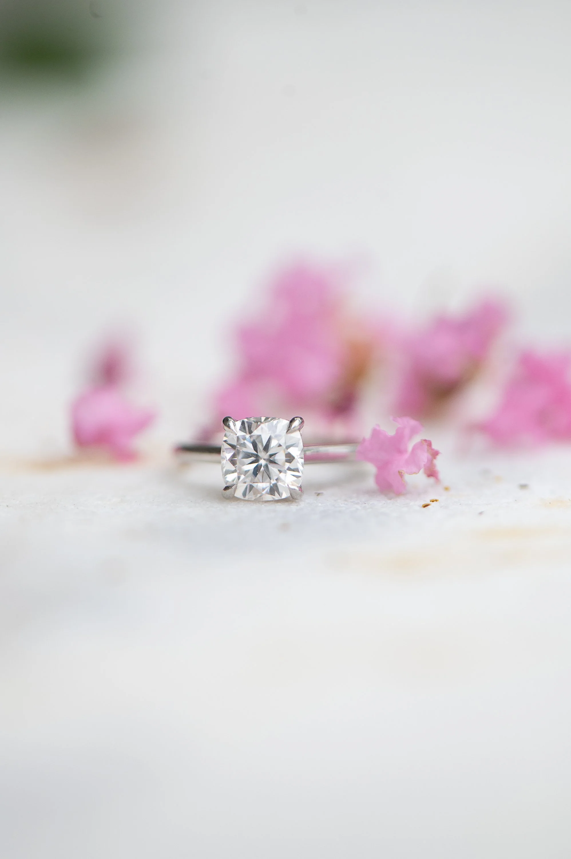 lynchburg-photographer-karin-nicole-photography-1-11.jpg