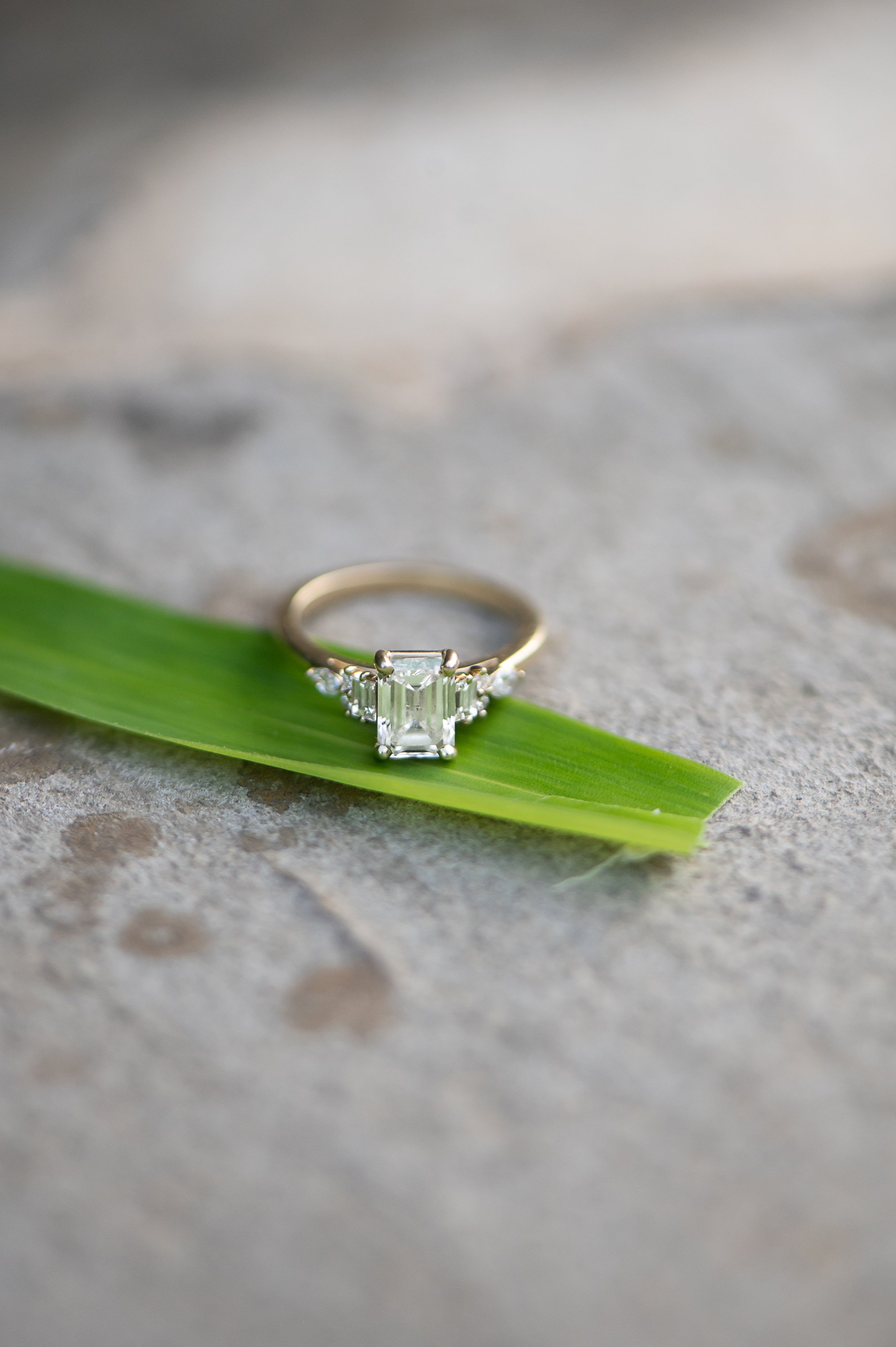 maymont-engagement-photos-karin-nicole-photography-1-6.jpg
