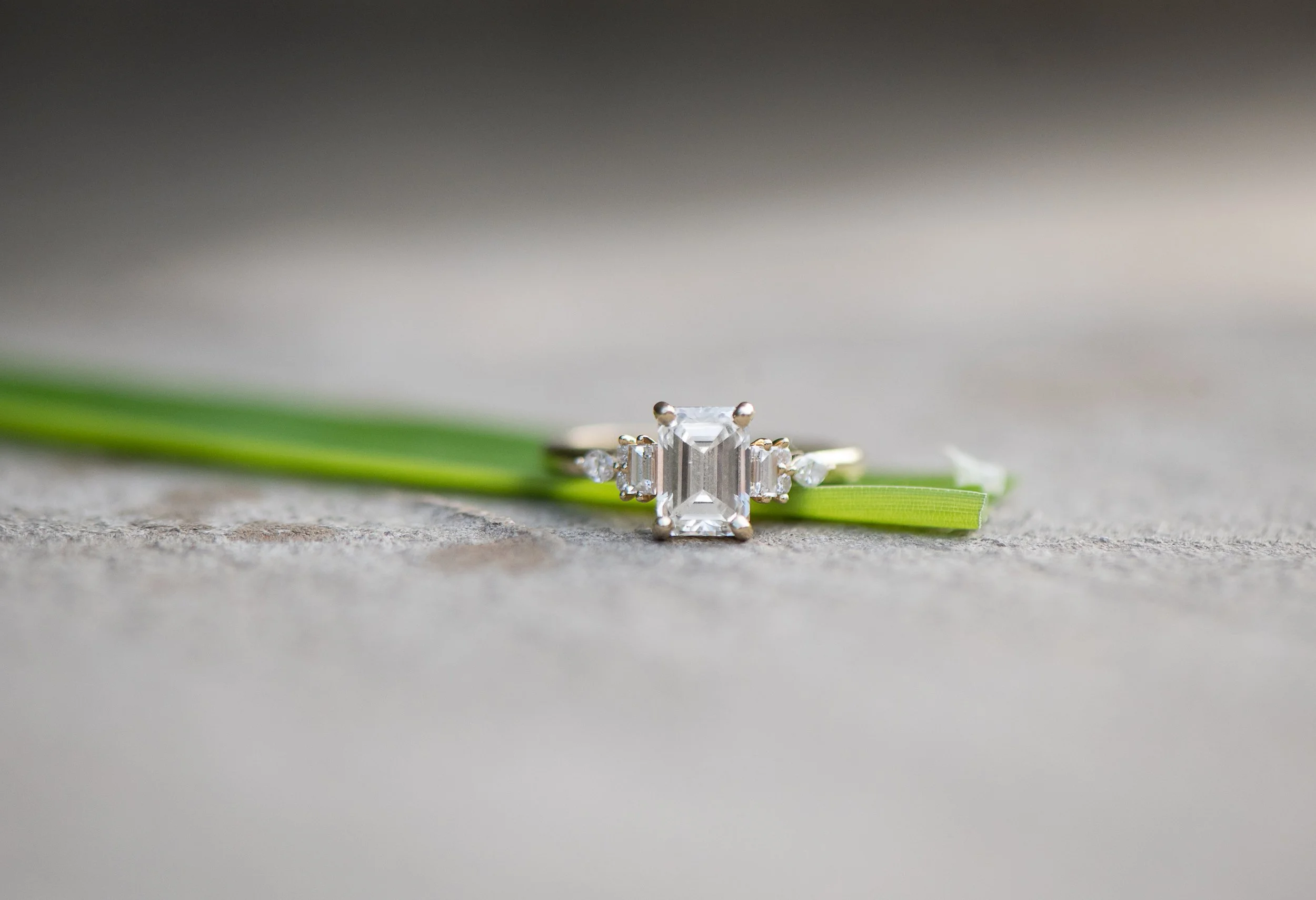 maymont-engagement-photos-karin-nicole-photography-1-7.jpg