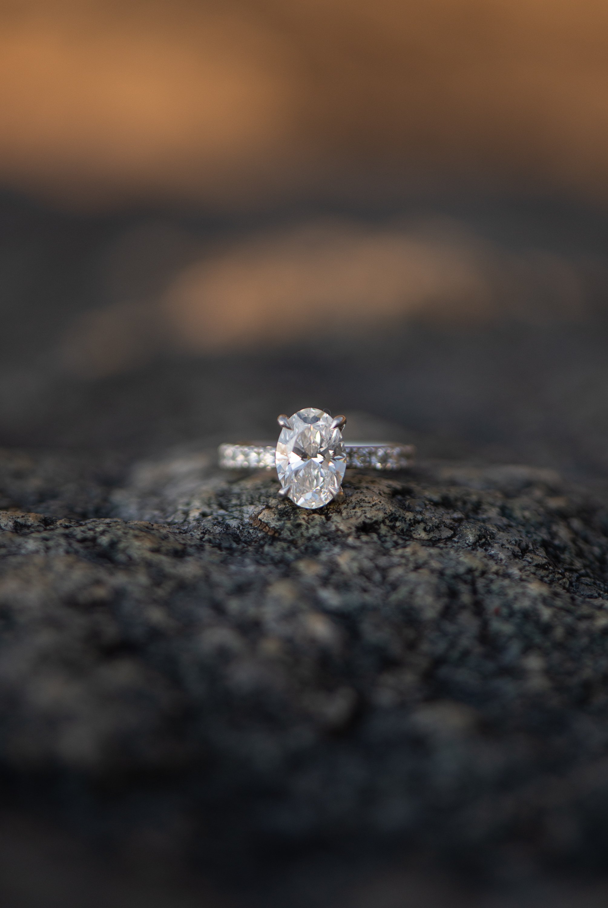 virginia-engagement-photos-karin-nicole-photography-1-16.jpg
