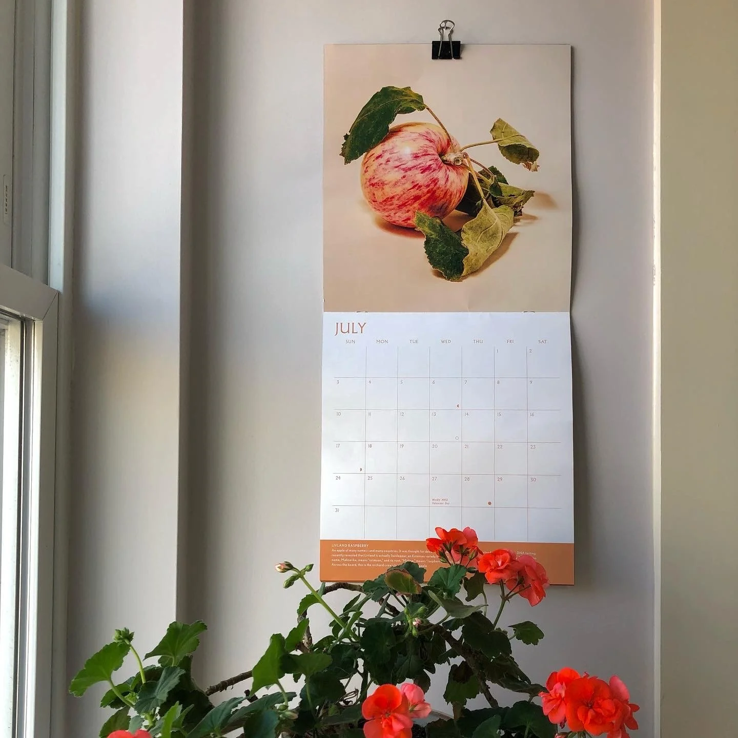 2021 MHO calendar.JPG