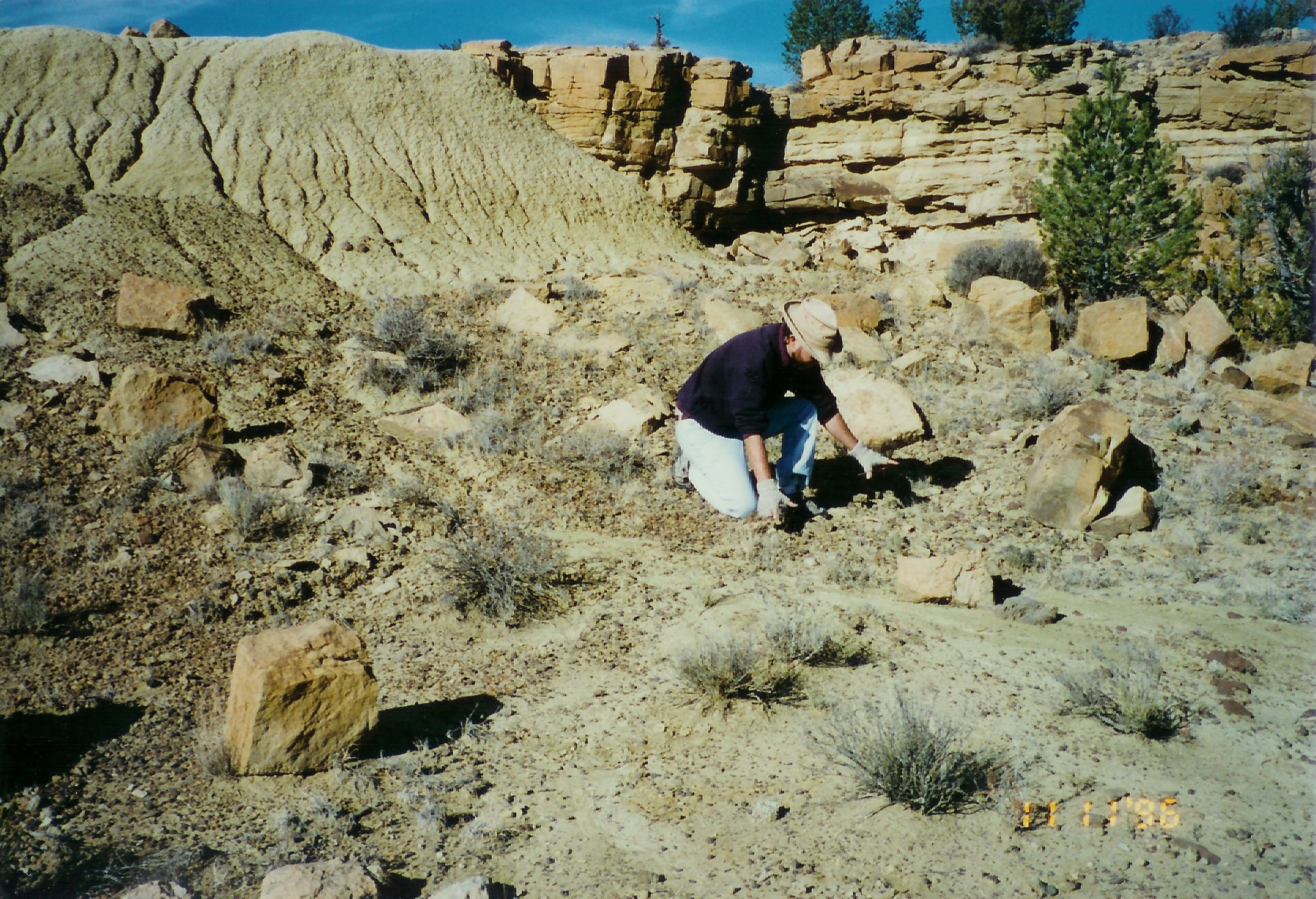 Two Rocks Balanced Site