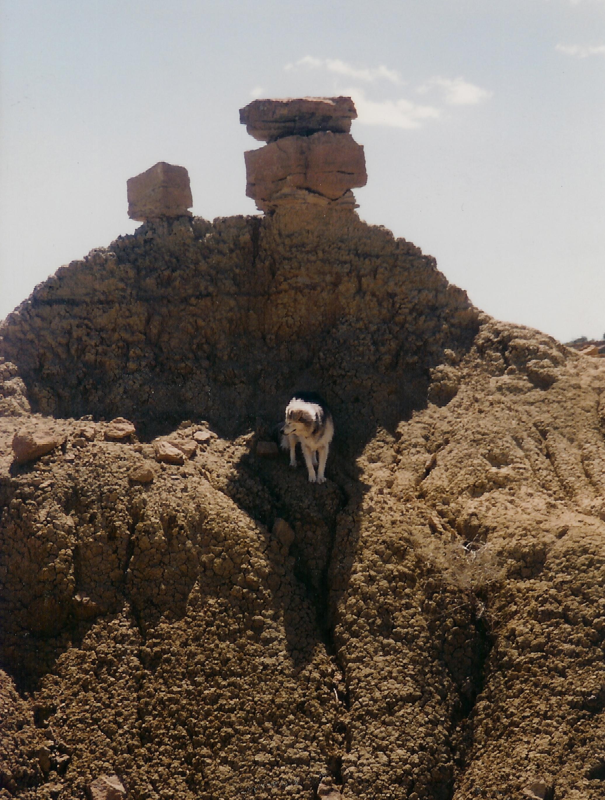 Tasha at Two Rocks Balanced