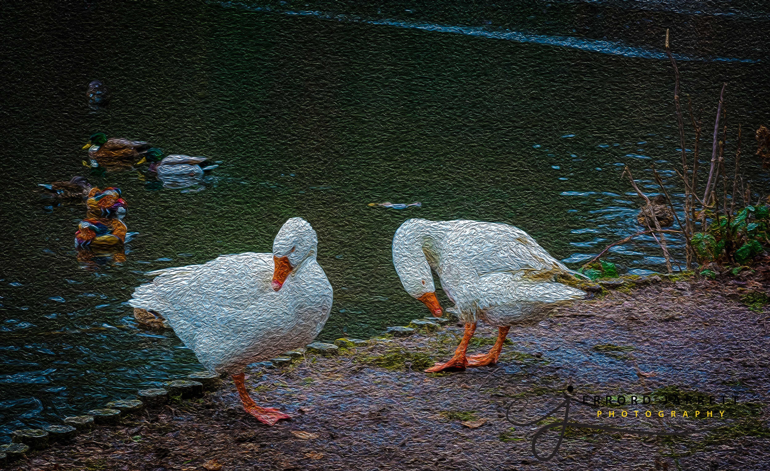 Geese Keston Common