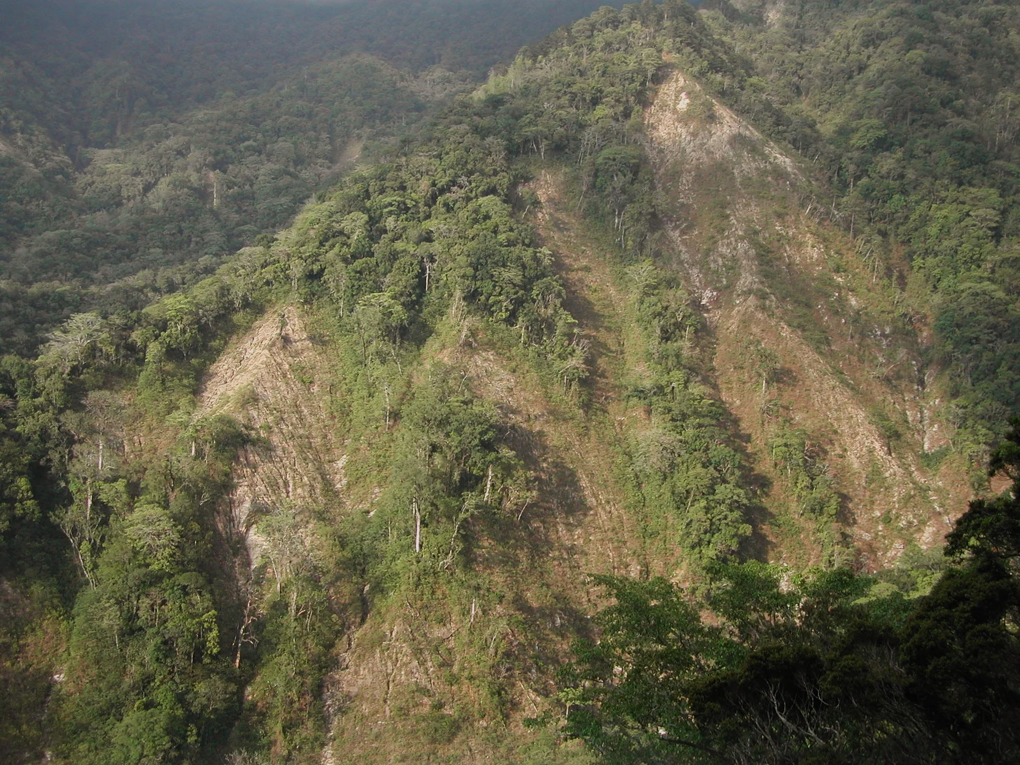 ChiapasDSCN0739.JPG