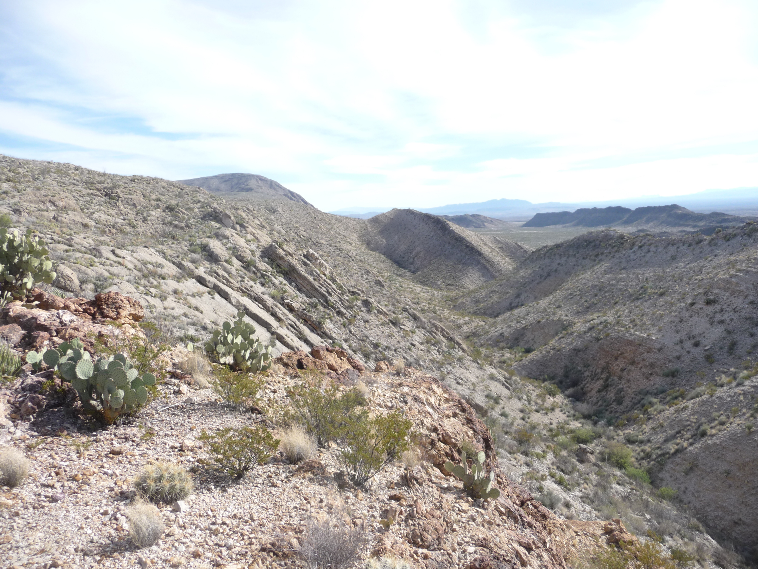 DipSlopeMarescalBigBendNP.JPG