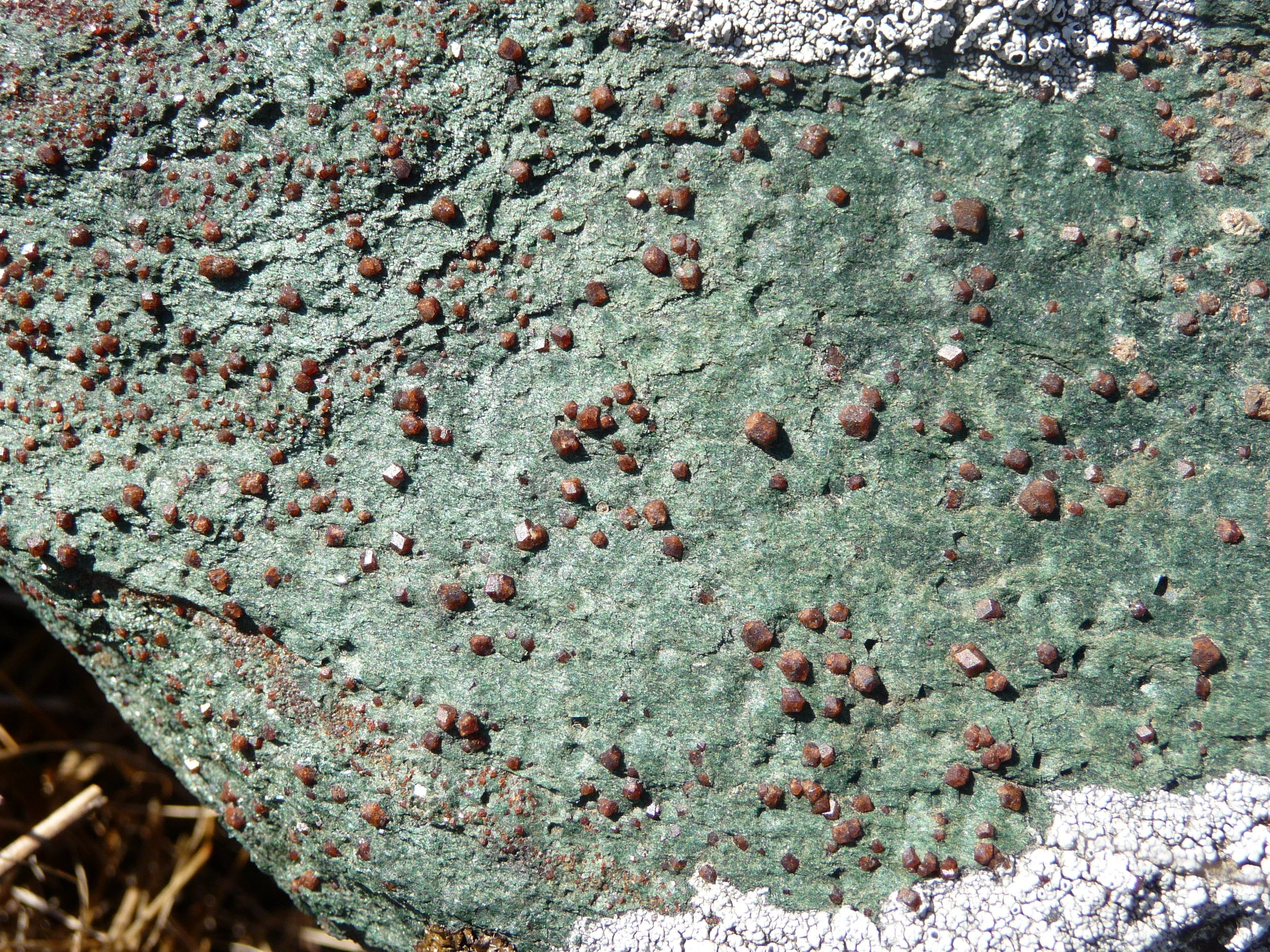 Eclogite-TiburonCA.JPG