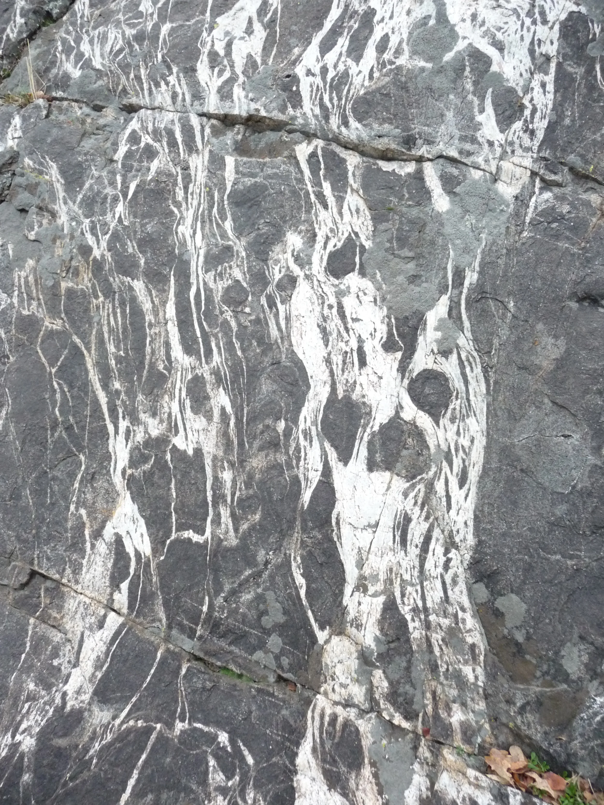 Gabbro-pluton-meltcountryrockMariposaFMCA.JPG