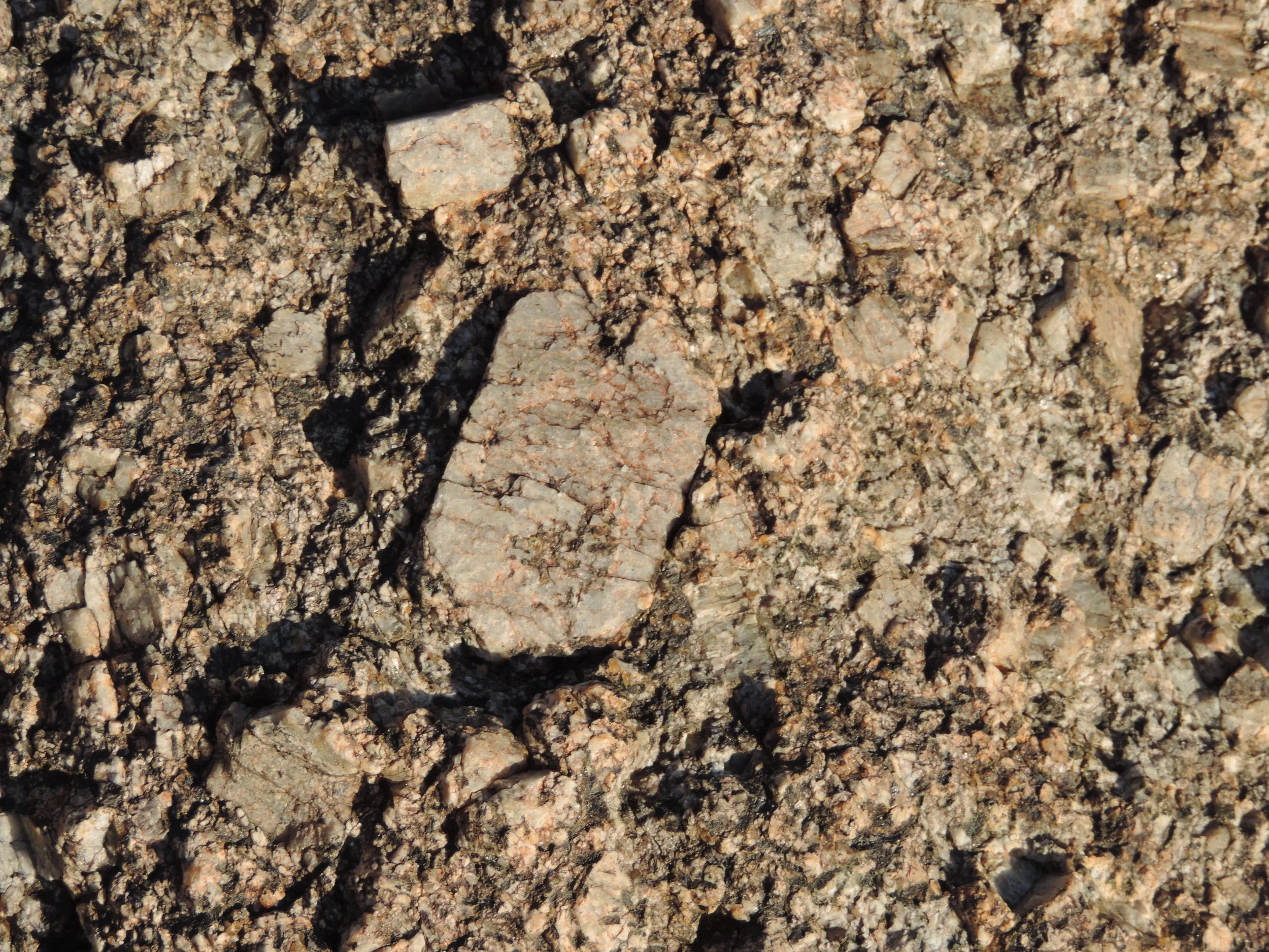 DSCN1091.JPG