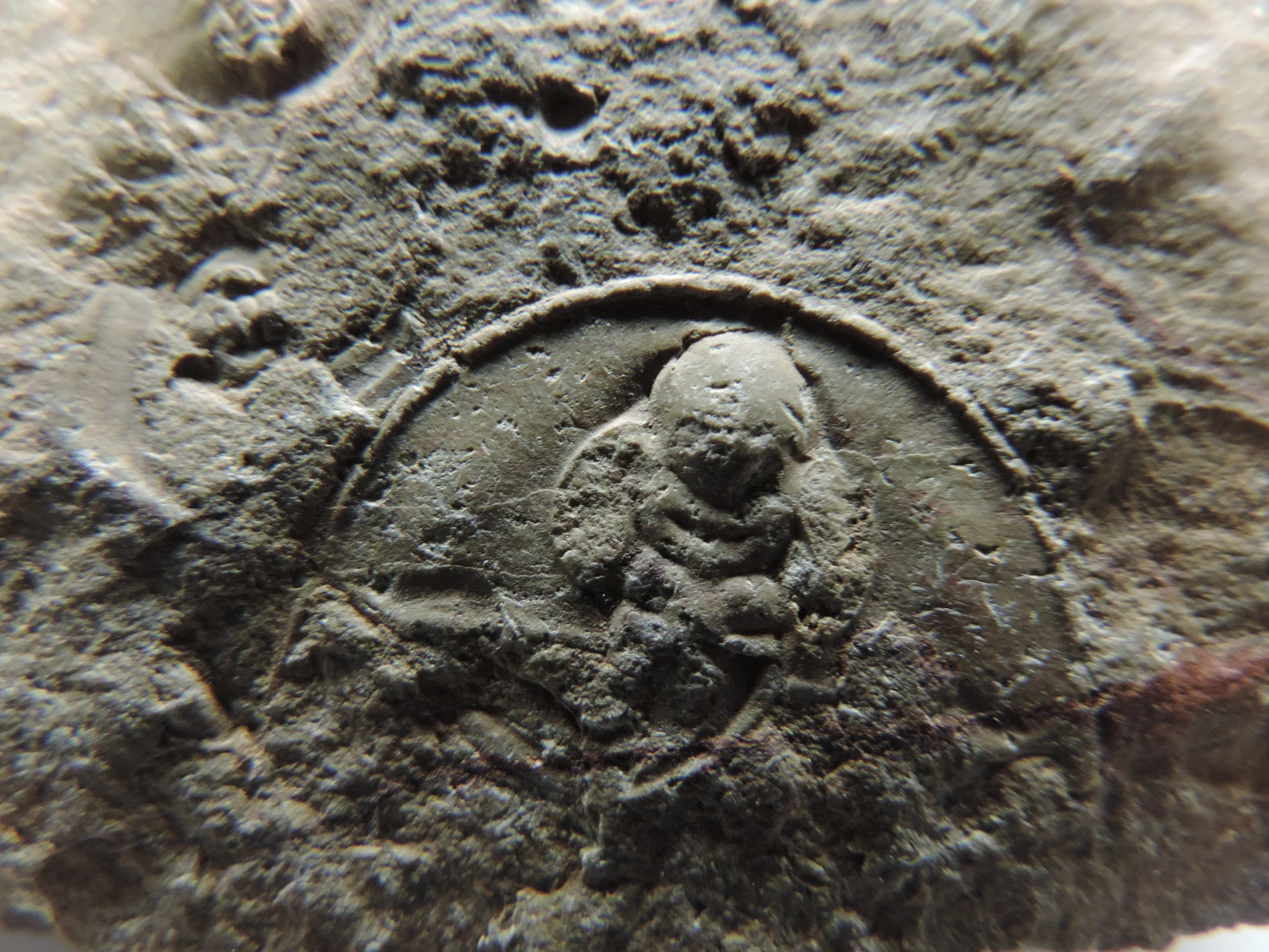 DSCN1183.JPG